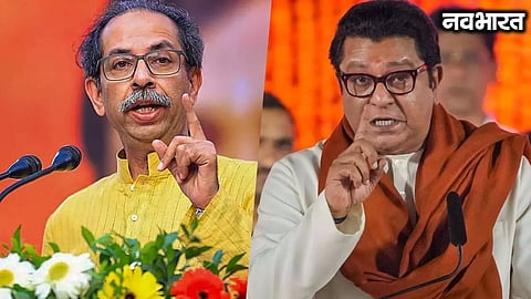 Thackeray brothers roar after the 'cockroach party