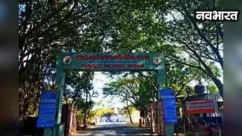 14 acres of government land acquired in Mankhurd for expansion of Film City