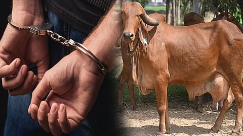 Nashik Cow Meat Case Bhadrakali Police