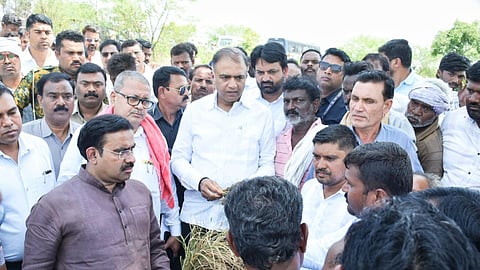 bhandara crop damage mohadi tumsar drought demand