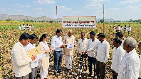 wardha drought crop damage panchnama 19061 farmers