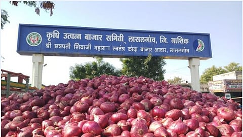 lasalgaon onion price wholesale retail rate