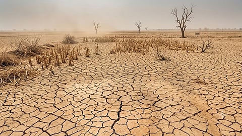 baglan drought farmers compensation 3 hectares
