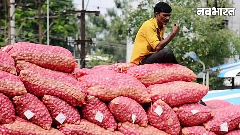 Maharashtra Onion Market Rate