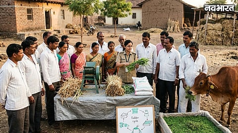Maharashtra Fodder Crisis Awareness Conservation Campaign Farmers