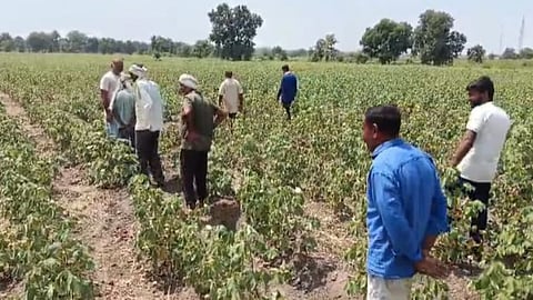 yavatmal drought assessment central team ground inspection