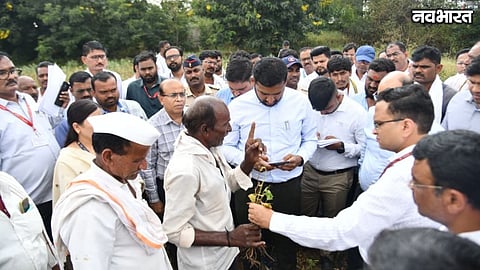 Beed Drought Maharashtra Soybean Crop Loss Central Team Survey