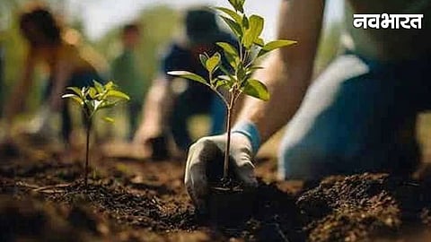 Tree Plantation Campaign Nagpur
