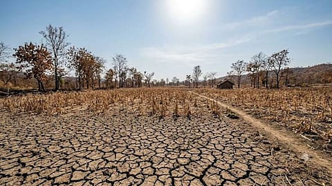 Entire Gondia Declared Drought-Hit