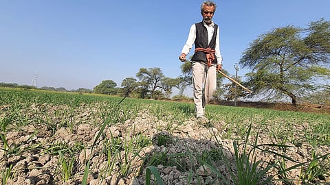 yavatmal drought crop damage farmer relief