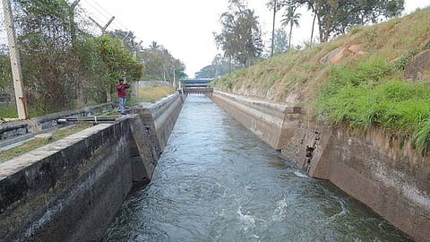yavatmal water release for kharif crops