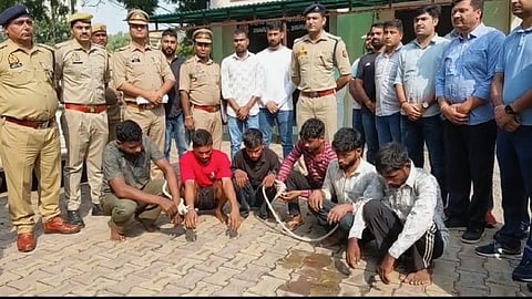 six cunning thieves from an inter-state gang have been arrested, used animal sounds as signals