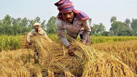 bhandara farmer loan waiver scheme 2026