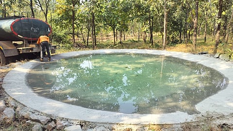 Chhatrapati Sambhajinagar forest wildlife water crisis drought