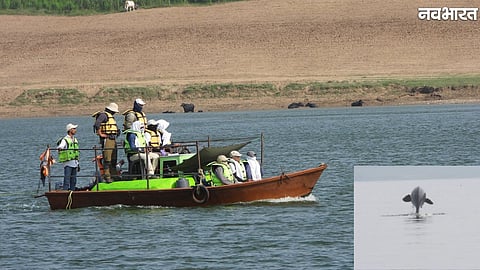 experts use advanced acoustic technology to survey dolphins in Chambal River