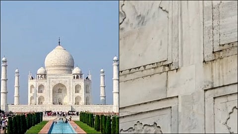 Negligence mars the beauty of the Taj Mahal! Goldichironomus midges reappear due to pollution in the Yamuna