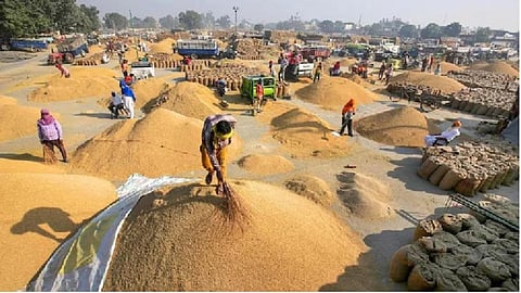 gondia paddy procurement centres msp online registration