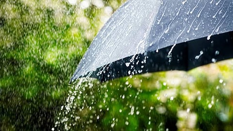 maharashtra weather update imd yellow alert rain