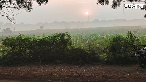 A mild, pleasant chill has arrived in Chhattisgarh