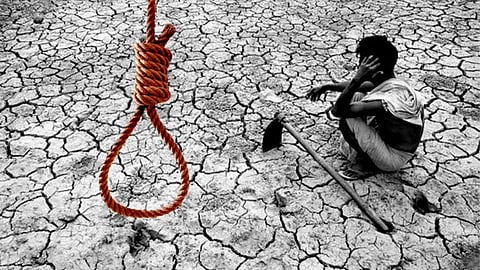 Akola 4.26 Lakh Hectare Kharif Crop Loss Dry Spell