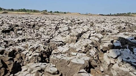 marathwada water crisis 109 irrigation projects dry