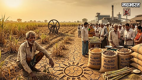El Nino Impact On Pulses Sugar And Jaggery Prices In India