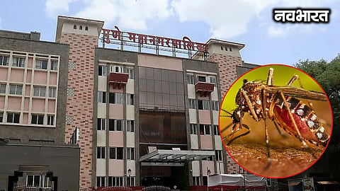 Municipal corporation on alert following two dengue deaths in Pune