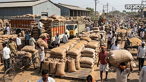 Wheat Prices Rise Festival Demand Flour And Semolina Rates