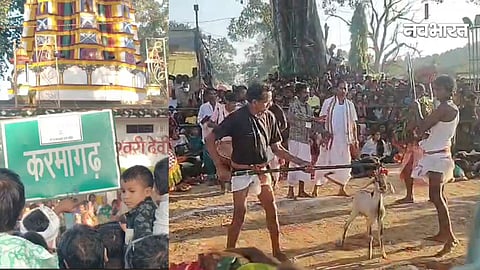 Raigarh news,chhattisgarh news,