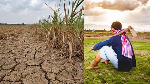wardha karanja ghadge farmers crop loss compensation trigger 1 2