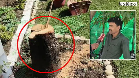 Sandalwood Theft Case Raises Question On Bhopal Police