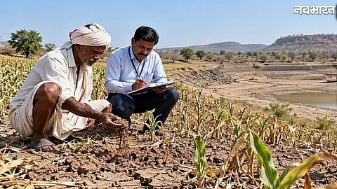 Madhya Pradesh Drought News