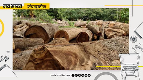 Bhimashankar Karjat Project