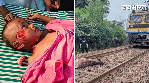Gondia Railway Wildlife Accident