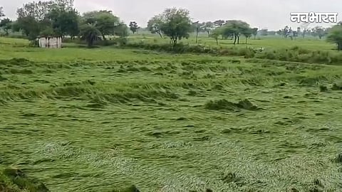 Chhattisgarh news, chhattisgarh weather news,