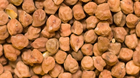 Chana