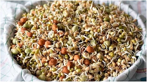 Sprouted gram has many benefits, include breakfast in the morning.