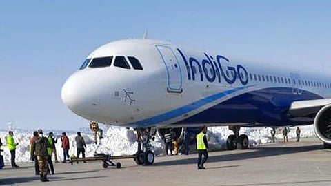 indigo