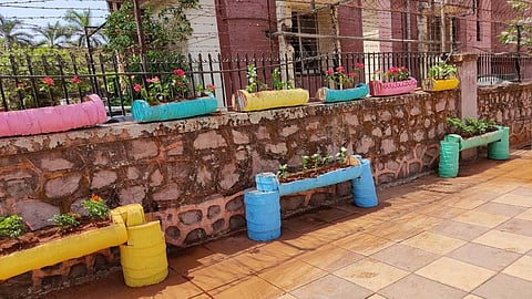 BMC Garden
