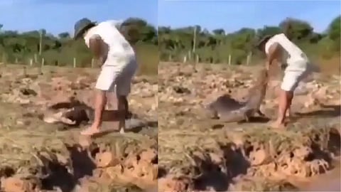 Crocodile and man Video