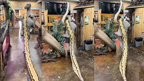 python