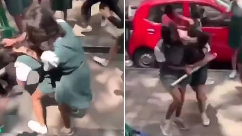 Girls Fight Video