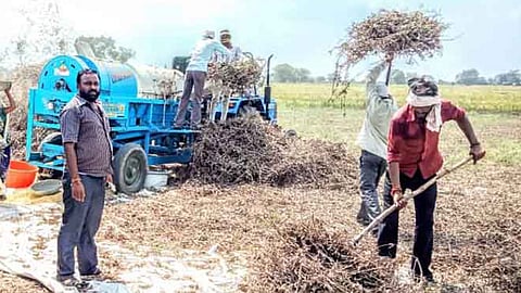 Soybean-Harvesting