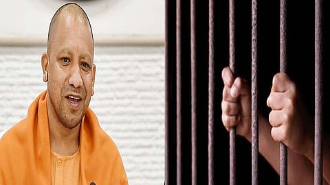 up jail and yogi