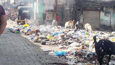 bhiwandi Garbage