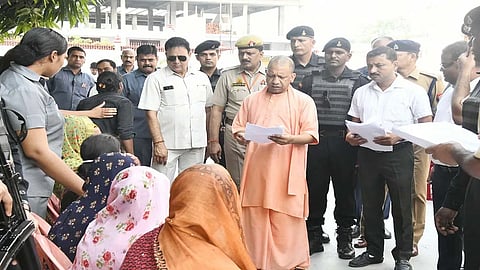 yogi