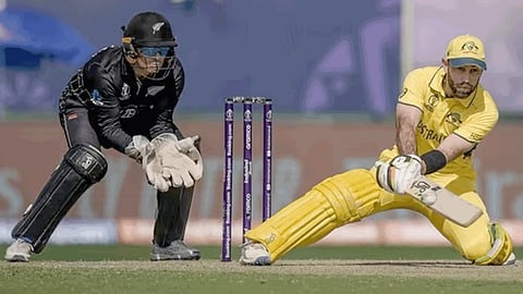 cricket