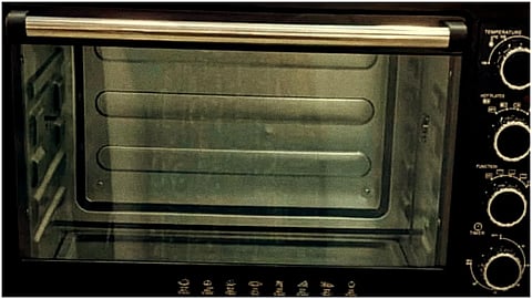 Microwave Oven Day 2023
