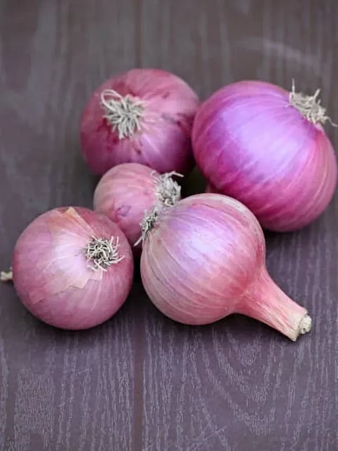 istockphoto-1405461762-612x612