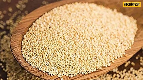 Poppy Seeds